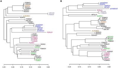 Development of a targeted amplicon sequencing method for genotyping Cyclospora cayetanensis from fresh produce and clinical samples with enhanced genomic resolution and sensitivity